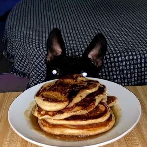 Meet your Posher, Patty